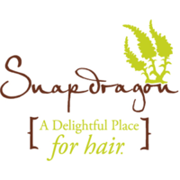 Snapdragon Salon